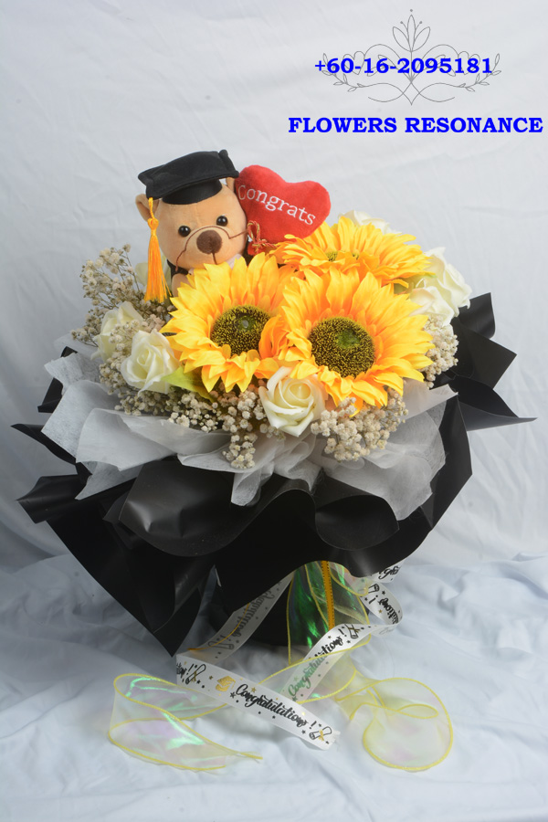 The Scholar's Radiance