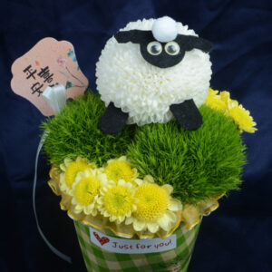 Cute Animals Special Theme